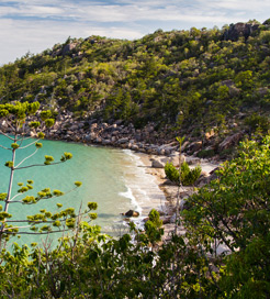 Magnetic Island