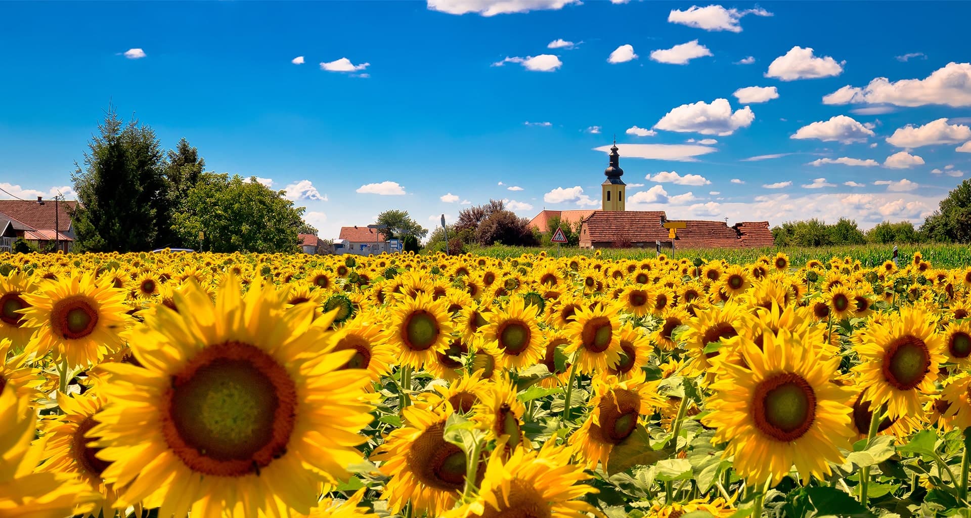 SNAV: bring your vehicle to Croatia for FREE